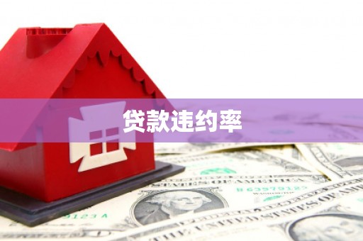 阿莲贷款违约率
