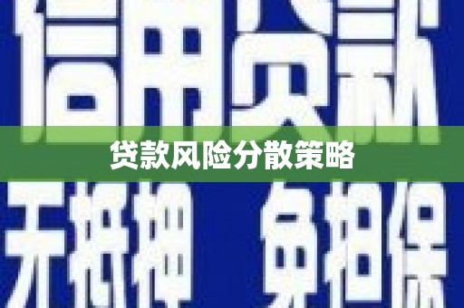 阿莲贷款风险分散策略