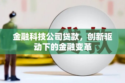 阿莲金融科技公司贷款，创新驱动下的金融变革