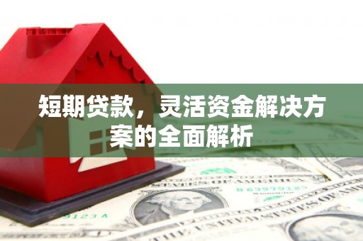 阿莲短期贷款，灵活资金解决方案的全面解析