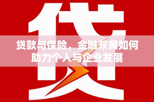 阿莲贷款与保险，金融双翼如何助力个人与企业发展