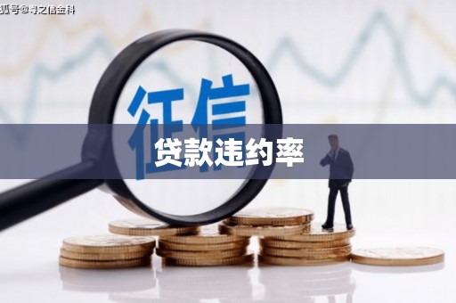 阿莲贷款违约率