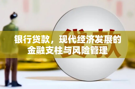 阿莲银行贷款，现代经济发展的金融支柱与风险管理