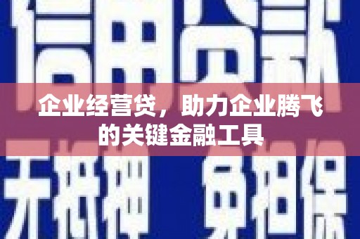 阿莲企业经营贷，助力企业腾飞的关键金融工具