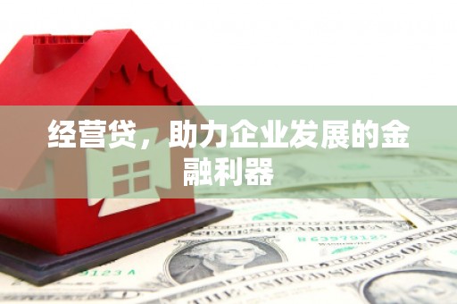 阿莲经营贷，助力企业发展的金融利器