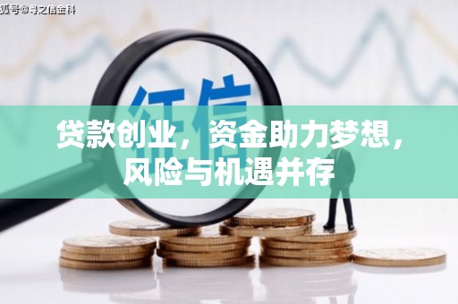 阿莲贷款创业，资金助力梦想，风险与机遇并存