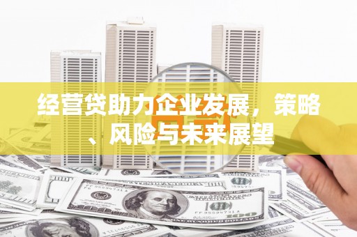阿莲经营贷助力企业发展，策略、风险与未来展望