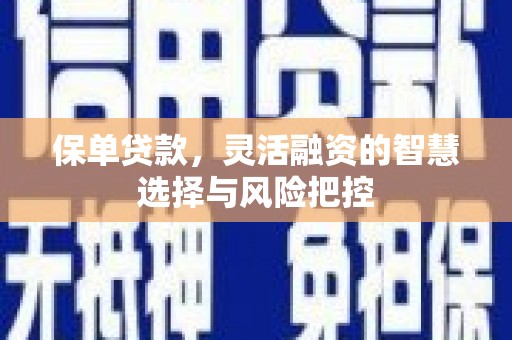 阿莲保单贷款，灵活融资的智慧选择与风险把控