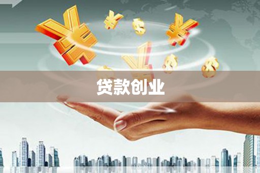 阿莲贷款创业