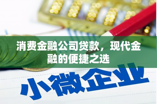 阿莲消费金融公司贷款，现代金融的便捷之选
