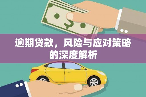 阿莲逾期贷款，风险与应对策略的深度解析
