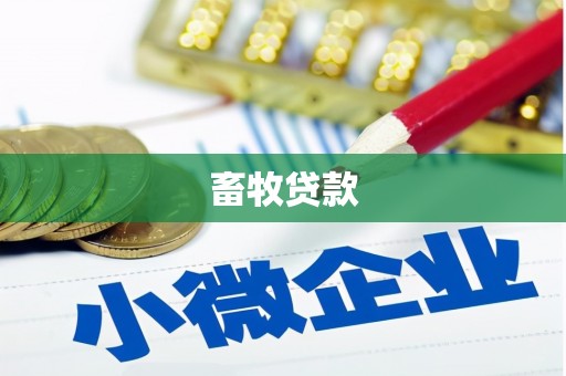 阿莲畜牧贷款