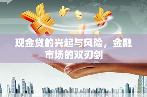阿莲现金贷的兴起与风险，金融市场的双刃剑