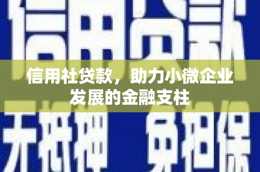 阿莲信用社贷款，助力小微企业发展的金融支柱