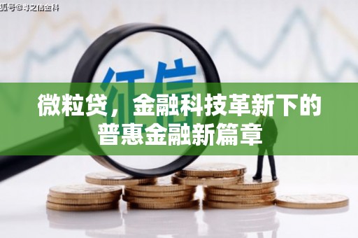 阿莲微粒贷，金融科技革新下的普惠金融新篇章