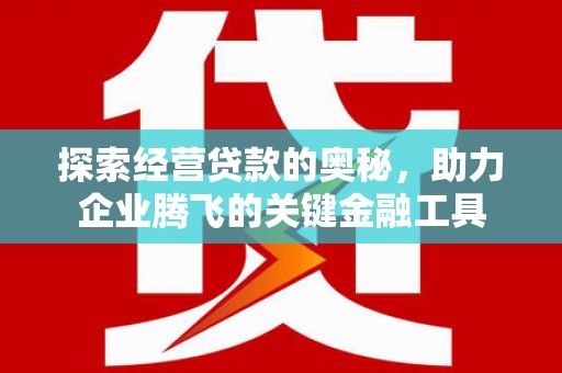 阿莲探索经营贷款的奥秘，助力企业腾飞的关键金融工具