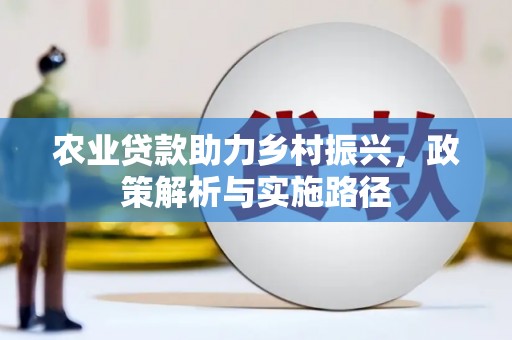 阿莲农业贷款助力乡村振兴，政策解析与实施路径