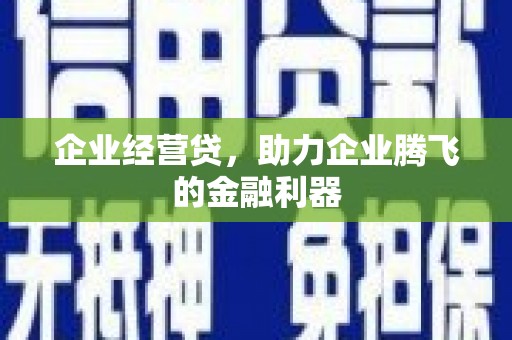 阿莲企业经营贷，助力企业腾飞的金融利器