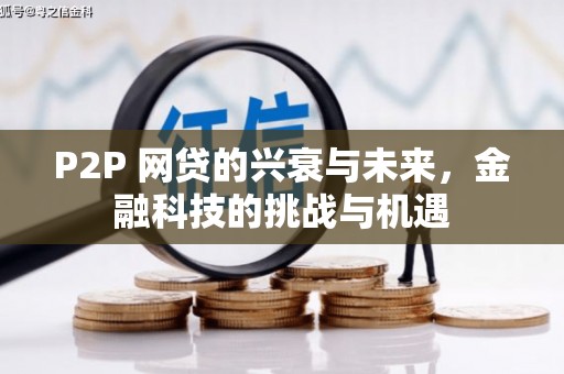 阿莲P2P 网贷的兴衰与未来，金融科技的挑战与机遇
