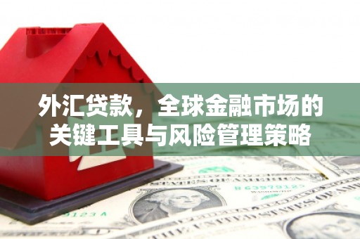 阿莲外汇贷款，全球金融市场的关键工具与风险管理策略