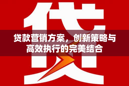 阿莲贷款营销方案，创新策略与高效执行的完美结合