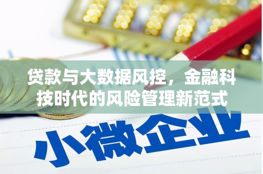 阿莲贷款与大数据风控，金融科技时代的风险管理新范式