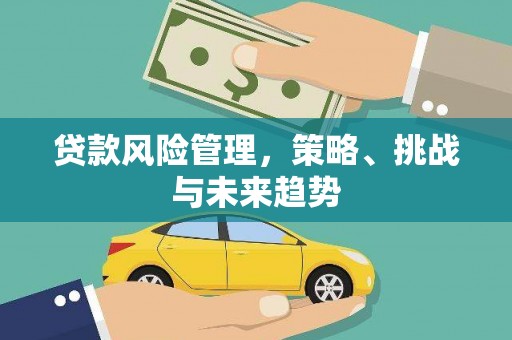 阿莲贷款风险管理，策略、挑战与未来趋势