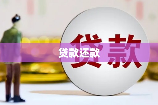 阿莲贷款还款