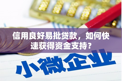 阿莲信用良好易批贷款，如何快速获得资金支持？