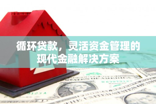 阿莲循环贷款，灵活资金管理的现代金融解决方案