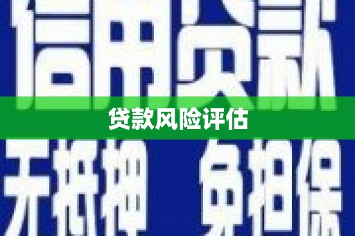 阿莲贷款风险评估