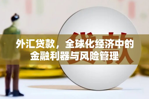阿莲外汇贷款，全球化经济中的金融利器与风险管理