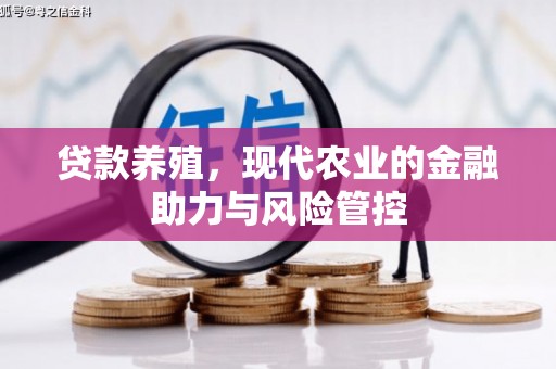 阿莲贷款养殖，现代农业的金融助力与风险管控