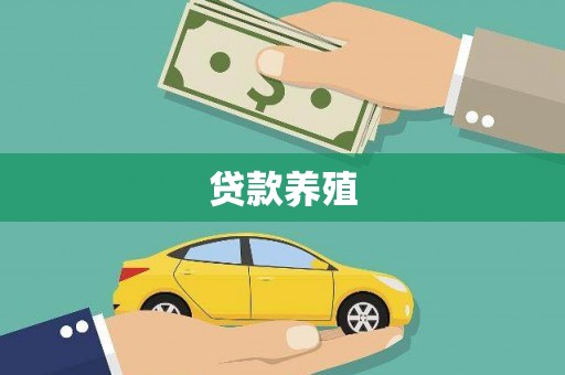 阿莲贷款养殖