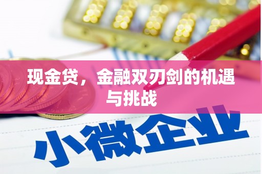 阿莲现金贷，金融双刃剑的机遇与挑战