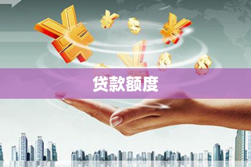 阿莲贷款额度