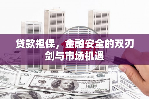 阿莲贷款担保，金融安全的双刃剑与市场机遇
