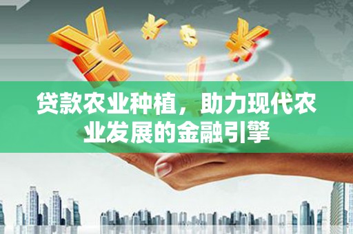 阿莲贷款农业种植，助力现代农业发展的金融引擎