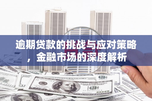 阿莲逾期贷款的挑战与应对策略，金融市场的深度解析