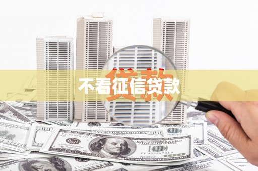 阿莲不看征信贷款