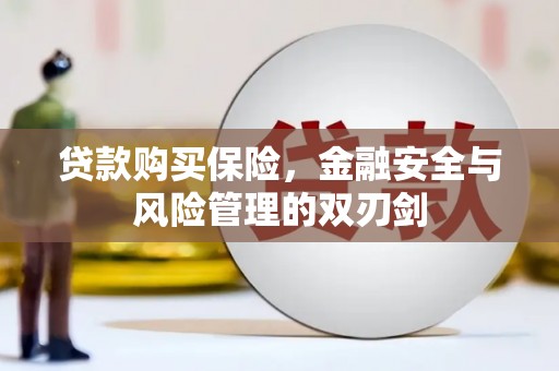 阿莲贷款购买保险，金融安全与风险管理的双刃剑