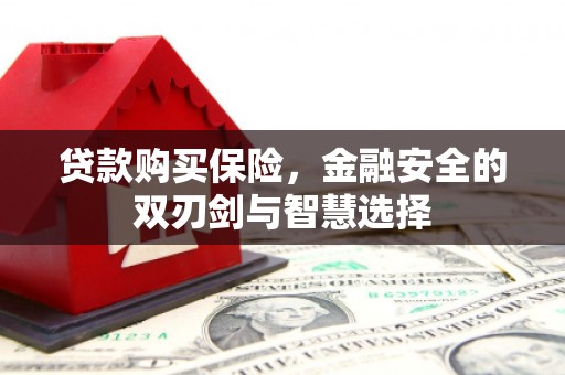 阿莲贷款购买保险，金融安全的双刃剑与智慧选择