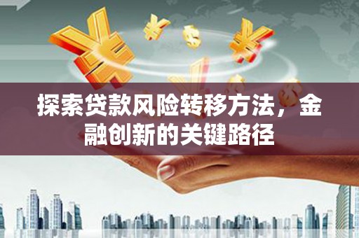 阿莲探索贷款风险转移方法，金融创新的关键路径