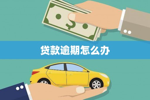 阿莲贷款逾期怎么办