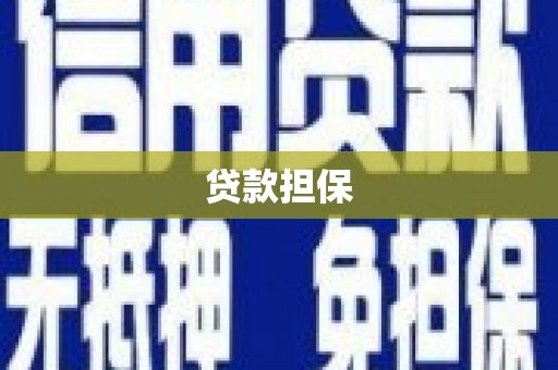 阿莲贷款担保