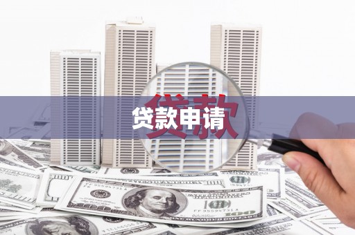 阿莲贷款申请