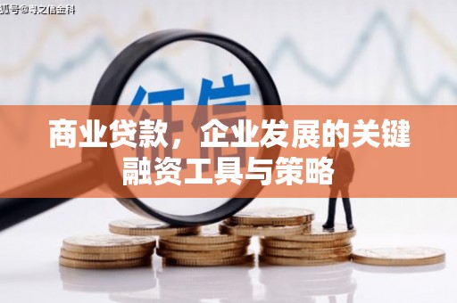 阿莲商业贷款，企业发展的关键融资工具与策略