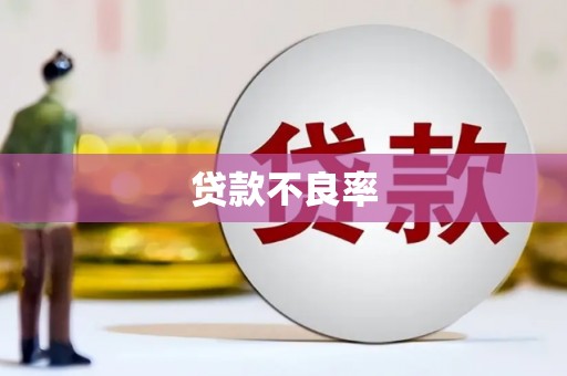 阿莲贷款不良率