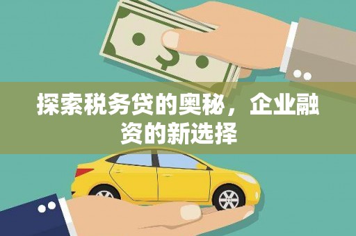 阿莲探索税务贷的奥秘，企业融资的新选择