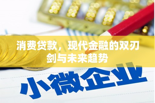 阿莲消费贷款，现代金融的双刃剑与未来趋势